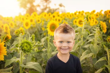 Sonnenblumen mit Kind